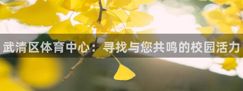 凯发官网下载平台是正规平台吗知乎：武清区体育中心：寻