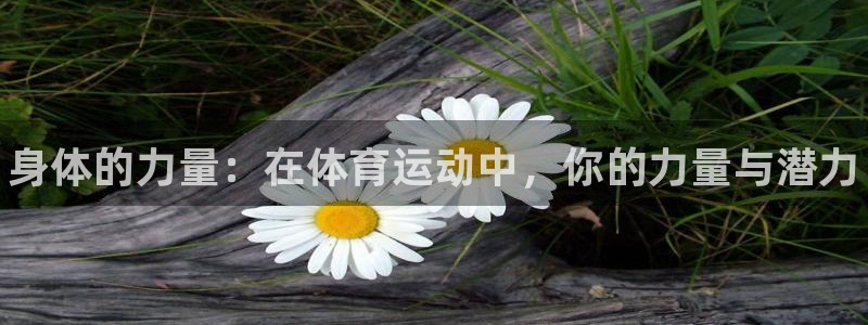 凯发官方正版app娱乐首页网站大全：身体的力量：在体