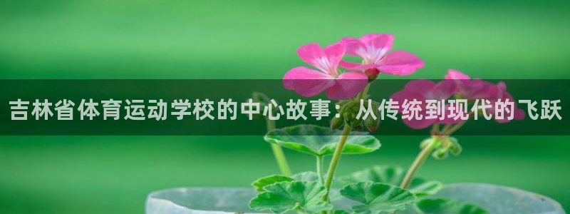 凯发官方正版app神州：吉林省体育运动学校的中心故事