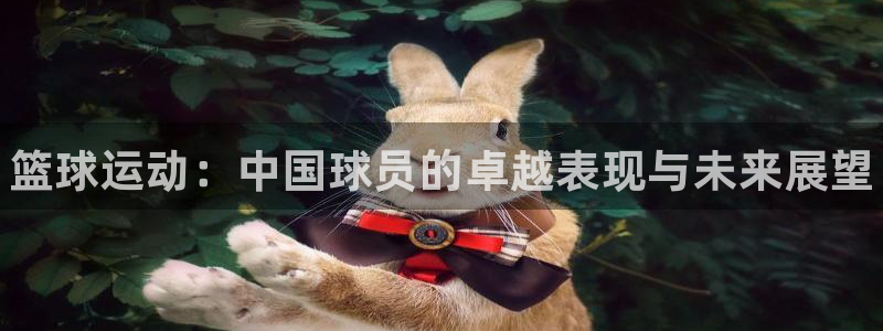 凯发官网下载平台是正规平台吗安全吗：篮球运动：中国球