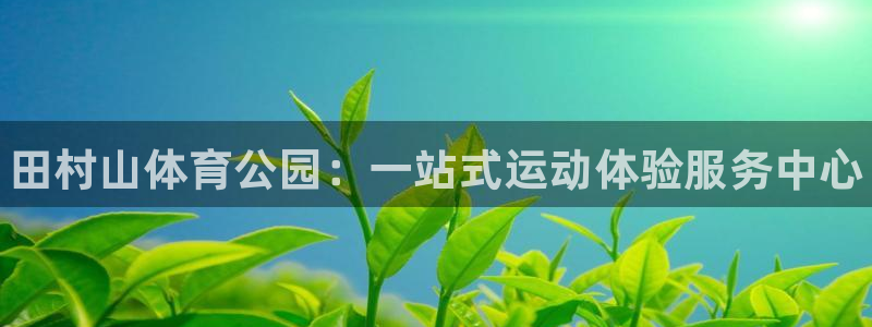 凯发官方正版app娱乐首页官网下载：田村山体育公园：