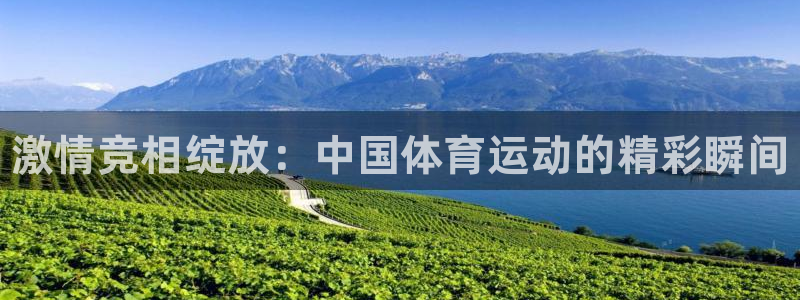 凯发官网下载平台是正规平台吗安全吗：激情竞相绽放：中