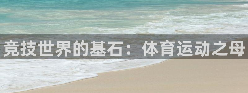 凯发官网下载平台注册要钱吗安全吗：竞技世界的基石：体