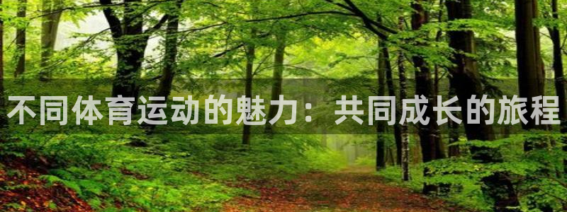 凯发官网下载平台注册：不同体育运动的魅力：共同成长的