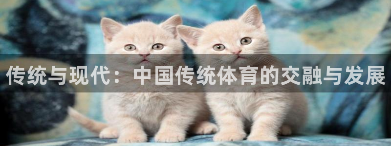 凯发官网下载招商电话地址查询：传统与现代：中国传统体