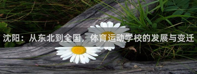 凯发官方正版app娱乐40996：沈阳：从东北到全国