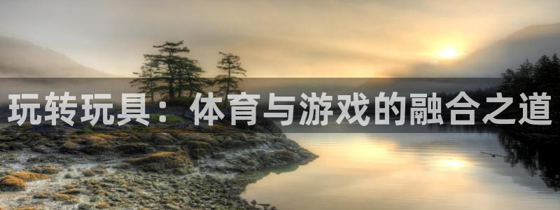 凯发官方正版app娱乐：玩转玩具：体育与游戏的融合之