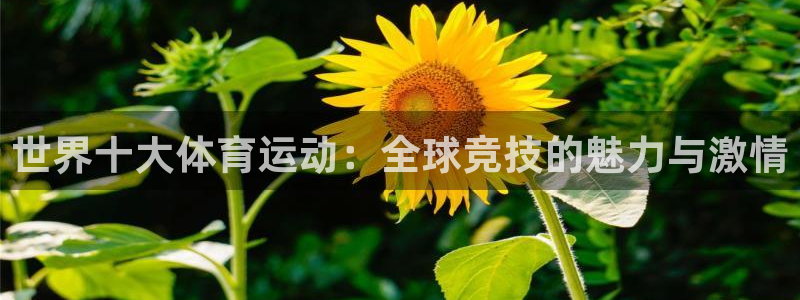 凯发官网下载平台是正规平台吗知乎：世界十大体育运动：