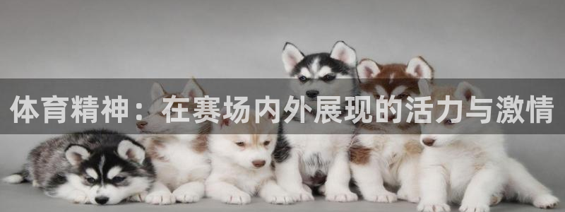 凯发官网下载平台注册要钱吗安全吗：体育精神：在赛场内