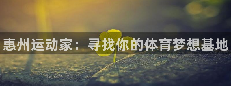 凯发官方正版app娱乐首页网站大全
