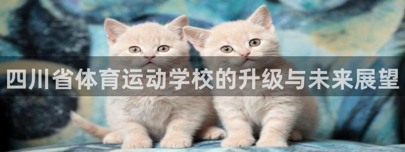 凯发官网下载开户