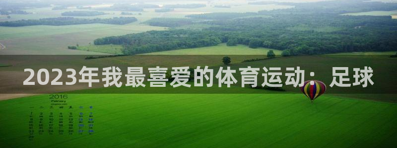 凯发官网下载平台注册流程视频：2023年我最喜爱的体育运动：