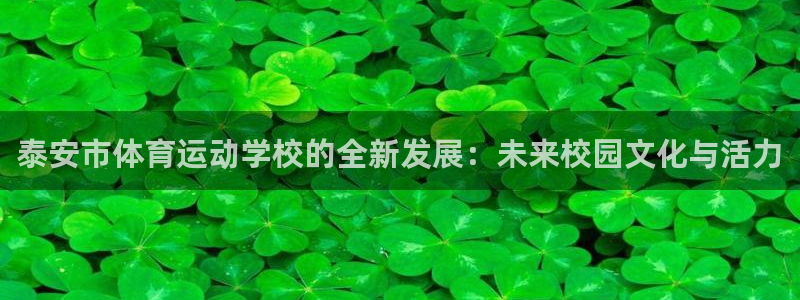 凯发官网下载平台注册要钱吗：泰安市体育运动学校的全新