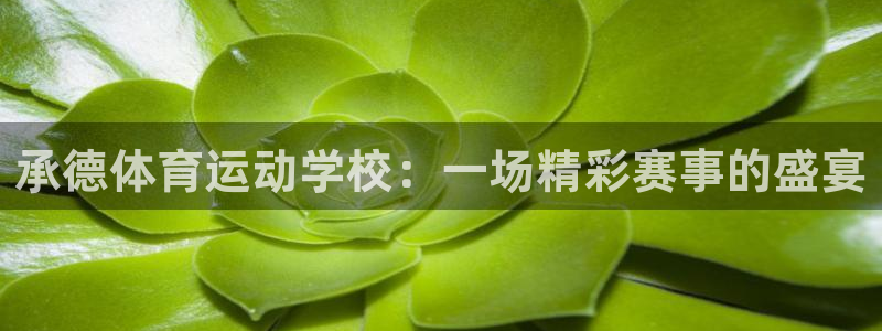 凯发官网下载是干嘛的公司