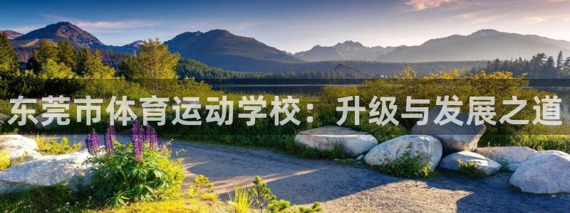 凯发官网下载注册：东莞市体育运动学校：升级与发展之道
