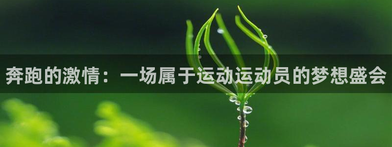 凯发官方正版app娱乐