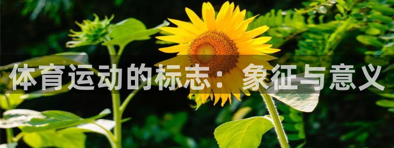 凯发官方平台体育：体育运动的标志：象征与意义