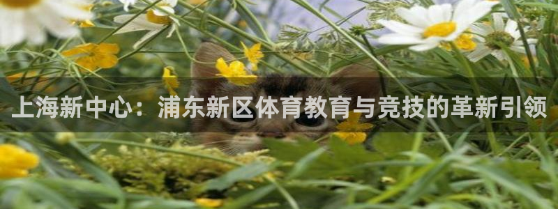 凯发官方正版app集团官网首页：上海新中心：浦东新区体育教育