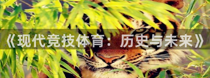 海南凯发官网下载