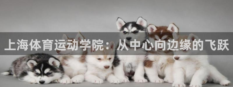 凯发官方正版app新能源：上海体育运动学院：从中心向边缘的飞