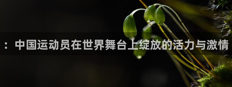 凯发官方正版app集团官网网址：：中国运动员在世界舞台上绽放